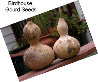 Birdhouse, Gourd Seeds