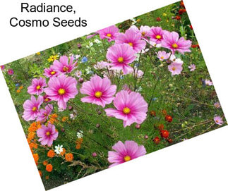 Radiance, Cosmo Seeds