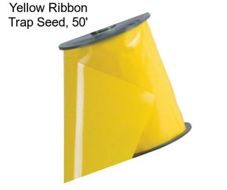 Yellow Ribbon Trap Seed, 50\'