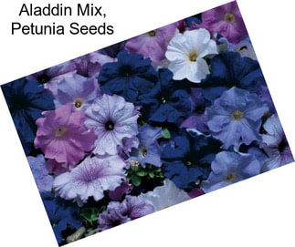 Aladdin Mix, Petunia Seeds