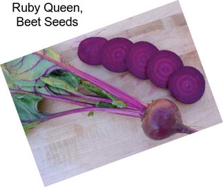 Ruby Queen, Beet Seeds