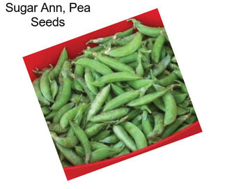 Sugar Ann, Pea Seeds