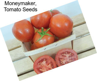 Moneymaker, Tomato Seeds