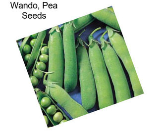 Wando, Pea Seeds