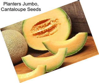 Planters Jumbo, Cantaloupe Seeds