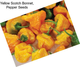 Yellow Scotch Bonnet, Pepper Seeds