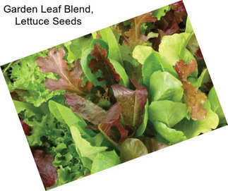 Garden Leaf Blend, Lettuce Seeds