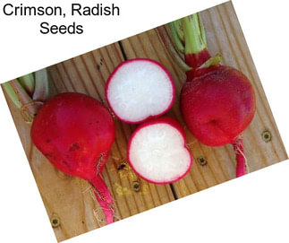 Crimson, Radish Seeds