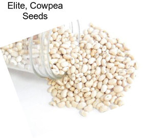 Elite, Cowpea Seeds