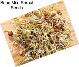 Bean Mix, Sprout Seeds