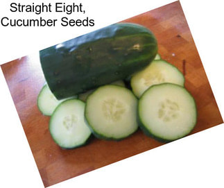 Straight Eight, Cucumber Seeds