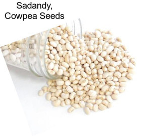 Sadandy, Cowpea Seeds