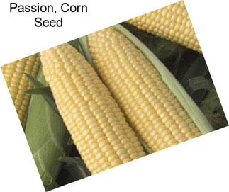 Passion, Corn Seed