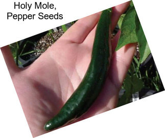 Holy Mole, Pepper Seeds
