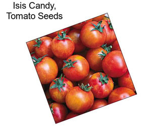 Isis Candy, Tomato Seeds