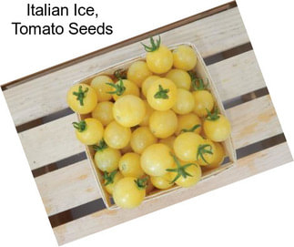 Italian Ice, Tomato Seeds