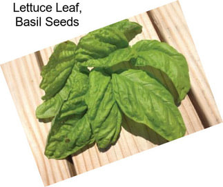 Lettuce Leaf, Basil Seeds