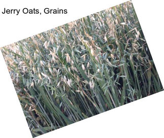 Jerry Oats, Grains