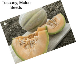 Tuscany, Melon Seeds