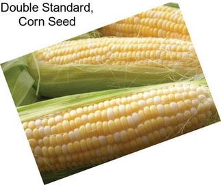 Double Standard, Corn Seed