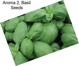 Aroma 2, Basil Seeds