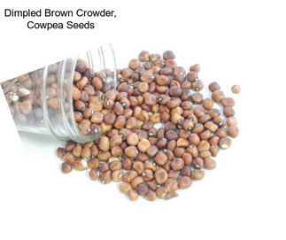 Dimpled Brown Crowder, Cowpea Seeds