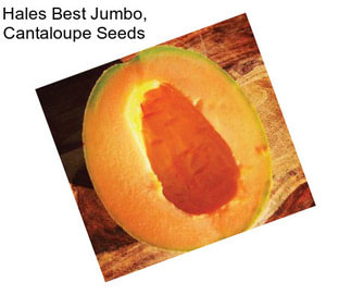 Hales Best Jumbo, Cantaloupe Seeds
