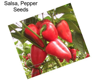 Salsa, Pepper Seeds