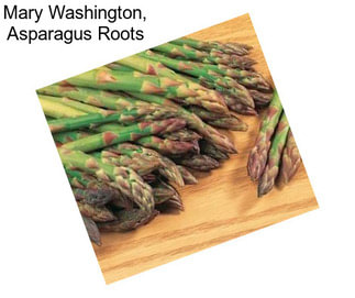 Mary Washington, Asparagus Roots