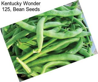 Kentucky Wonder 125, Bean Seeds