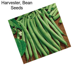 Harvester, Bean Seeds