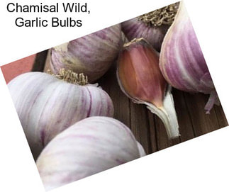 Chamisal Wild, Garlic Bulbs