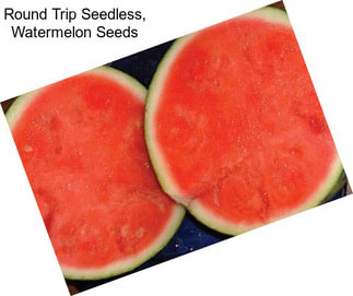 Round Trip Seedless, Watermelon Seeds