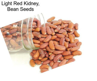 Light Red Kidney, Bean Seeds
