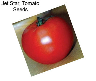 Jet Star, Tomato Seeds