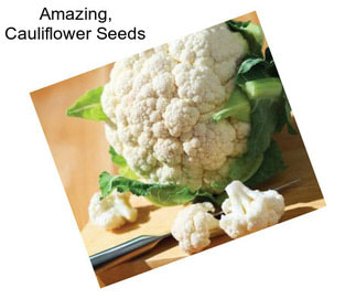 Amazing, Cauliflower Seeds