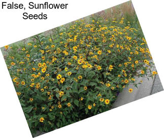 False, Sunflower Seeds