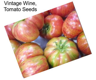 Vintage Wine, Tomato Seeds