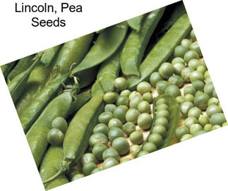 Lincoln, Pea Seeds