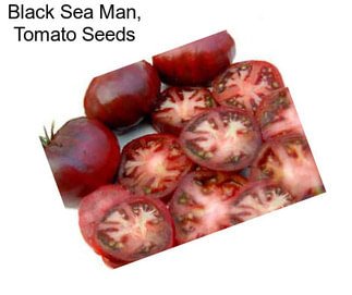 Black Sea Man, Tomato Seeds