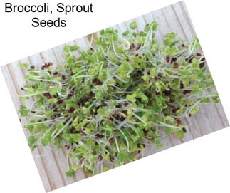 Broccoli, Sprout Seeds