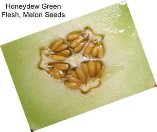 Honeydew Green Flesh, Melon Seeds