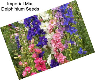 Imperial Mix, Delphinium Seeds