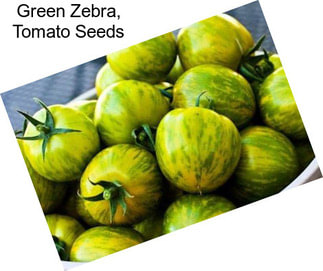 Green Zebra, Tomato Seeds