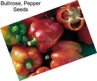 Bullnose, Pepper Seeds