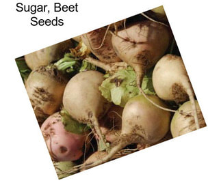 Sugar, Beet Seeds