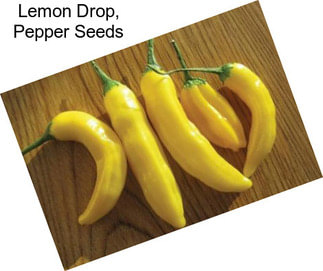 Lemon Drop, Pepper Seeds