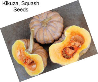 Kikuza, Squash Seeds