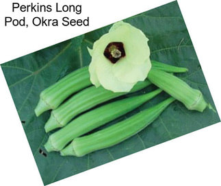 Perkins Long Pod, Okra Seed