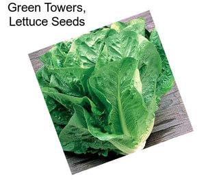 Green Towers, Lettuce Seeds